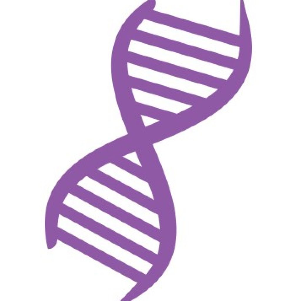 DNA small